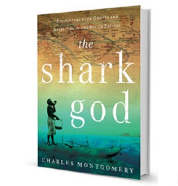 book-thesharkgod